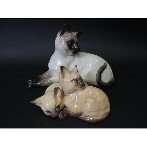 6 - Beswick model of a Siamese Cat 1558 plus one other Beswick model of 1296 two siamese kittens. All in... 