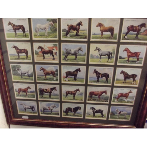 402 - Complete set of Rare, Ogdens Cigarette cards 'Poultry' Dated to 1924. Framed and mounted under glass... 