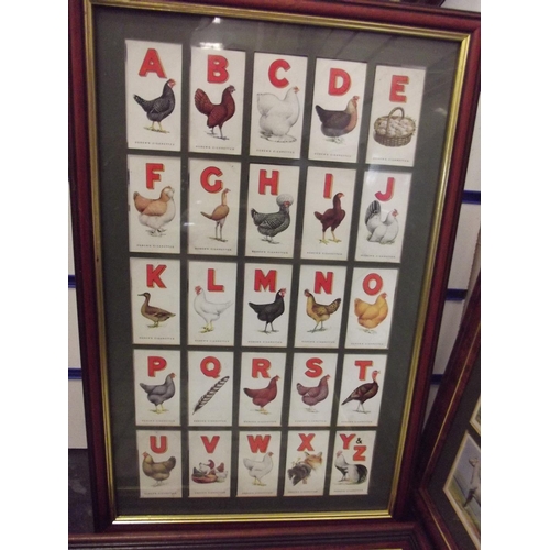 402 - Complete set of Rare, Ogdens Cigarette cards 'Poultry' Dated to 1924. Framed and mounted under glass... 