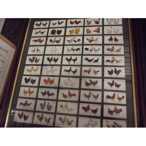 402 - Complete set of Rare, Ogdens Cigarette cards 'Poultry' Dated to 1924. Framed and mounted under glass... 