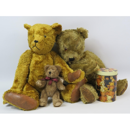 146 - 2 large Vintage Teddy bears one having a hump to its back plus 2 smaller bears.