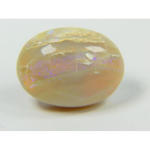 313 - 31ct Cut and Polished Australian Opal. Lots of Blue fire within the gemstone. 31mm lomg   6.2g    Se... 