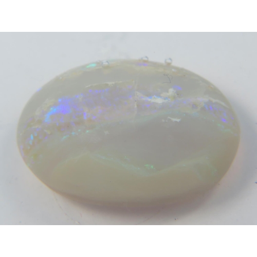 313 - 31ct Cut and Polished Australian Opal. Lots of Blue fire within the gemstone. 31mm lomg   6.2g    Se... 