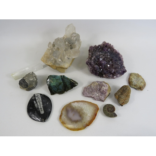 108 - Selection of Quartz crystals, Fossils and collectable rocks.