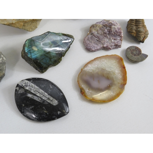 108 - Selection of Quartz crystals, Fossils and collectable rocks.