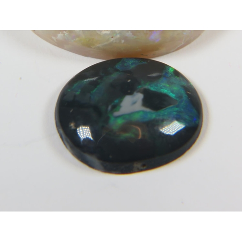 524 - Two Polished Australian Opals. See photos.