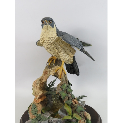 24 - Large Country Artist figurine of a Peregrine Falcon 