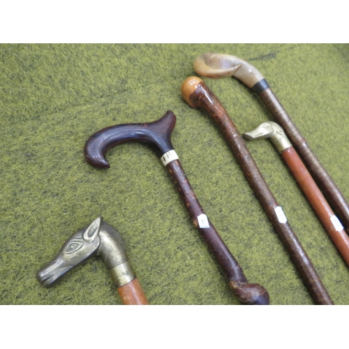 983 - Selection of walking sticks, a staff and a hunting whip.