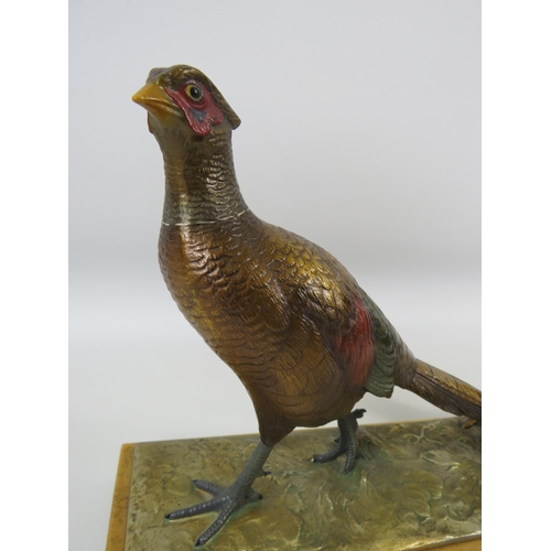 25 - Austrian cold painted spelter Pheasant match striker on a wooden base. It measures 21cm tall and 31.... 