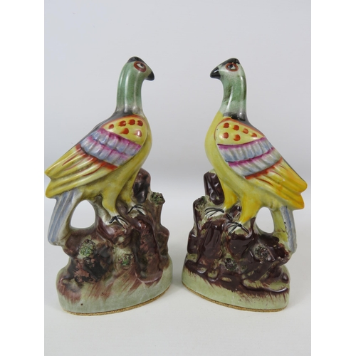 26 - Pair of Antique Staffordshire colourful Pigeons. Approx 25.5cm tall.