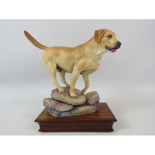 40 - Limited edition Albany fine china Labrador, modelled by Neil Campbell. Approx 25cm tall