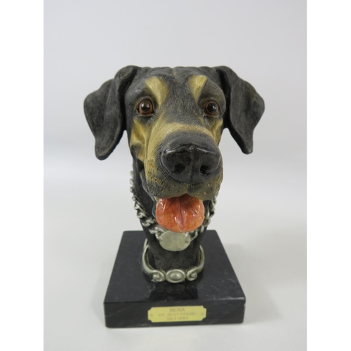 42 - A Bust of a Dobermann dog which stands approx 9