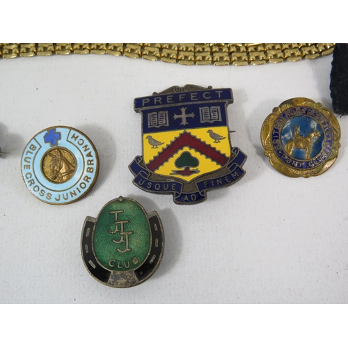 574 - Selection of badges and a gold coloured necklace and bracelet set.