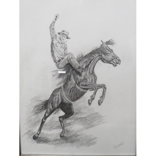 1025 - Pair of Pencil Sketches of Rodeo Riders by DM Hull.  Framed and mounted under glass. See photos. S2