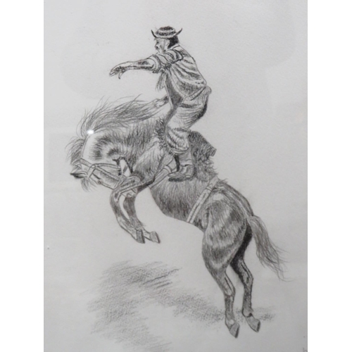 1025 - Pair of Pencil Sketches of Rodeo Riders by DM Hull.  Framed and mounted under glass. See photos. S2