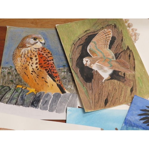 1029 - Scores of examples of original artwork by DM Hull. See photos. S2