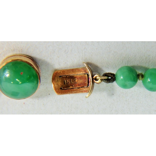 303A - Beautiful Graduated Jade/Jadite Necklace with 14ct Yellow gold fastener. Necklace measures 18 inches... 