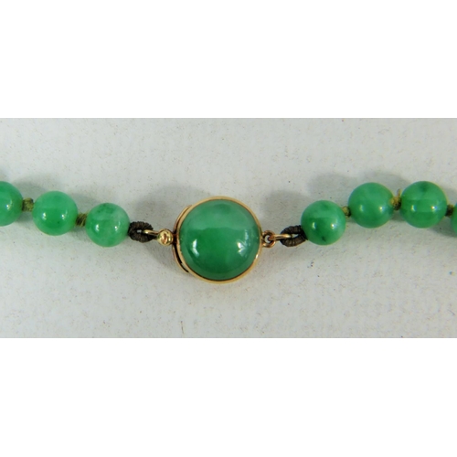 303A - Beautiful Graduated Jade/Jadite Necklace with 14ct Yellow gold fastener. Necklace measures 18 inches... 