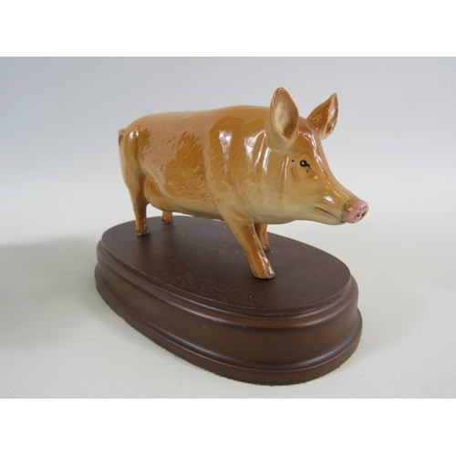 1 - 2 Royal Doulton pig figurines standing on wooden bases. Vietnamese pot belly and Tamworth.