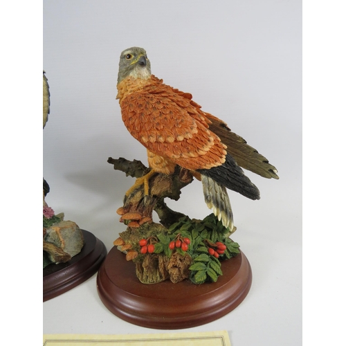 23 - 2 Brooks and Bentley Birds of prey figurines on wooden bases.