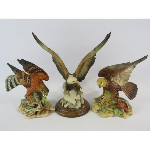 34 - 3 Bisque ceramic bird of pray figurines. The tallest measures 9