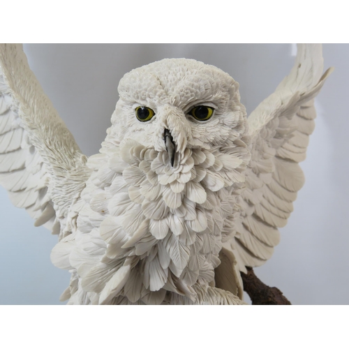 29 - Large Country Artist limited edition sculpture of an Owl 