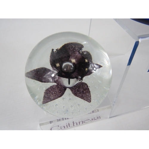 160 - 2 Caithness limited edition paperweights 