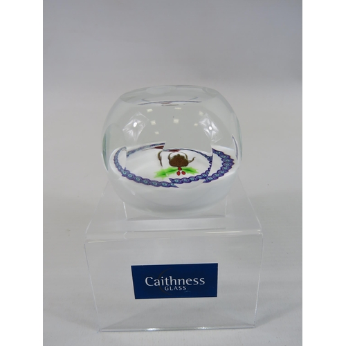 171 - Caithness limited edition paperweight 