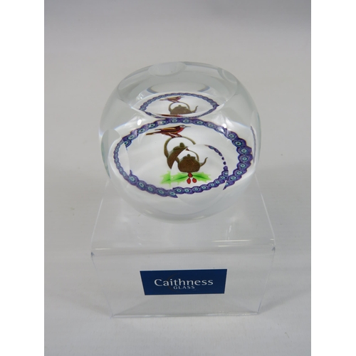 171 - Caithness limited edition paperweight 