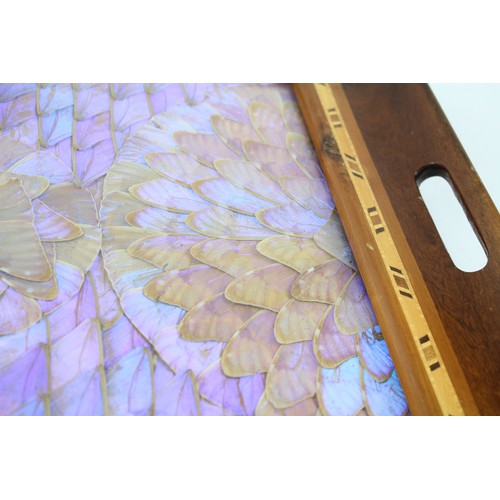 38 - Vintage Wooden Tray / Wall Piece w/ Butterfly Wing Design     485134