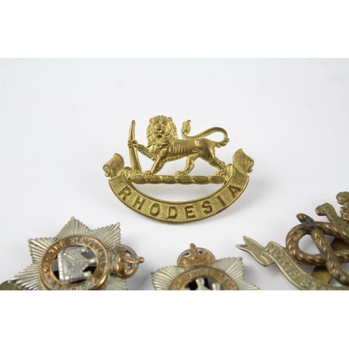 94 - Military Cap Badges Inc Canada, D21 North Staffs Etc x 10     637624