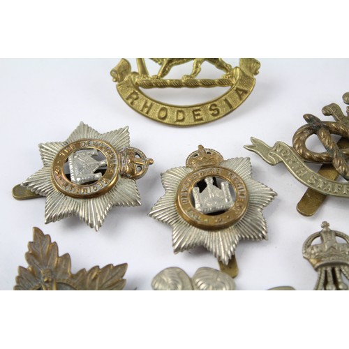 94 - Military Cap Badges Inc Canada, D21 North Staffs Etc x 10     637624