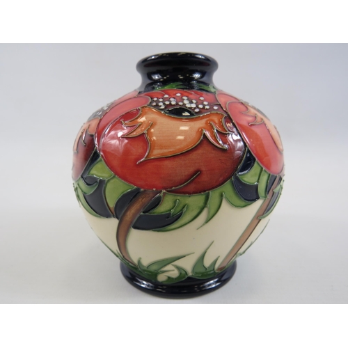 177 - Moorcroft Meo Voto vase designed by Racheal Bishop No 66. Approx 4