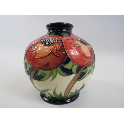 177 - Moorcroft Meo Voto vase designed by Racheal Bishop No 66. Approx 4