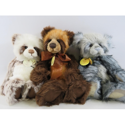 253 - 3 X Charlie Bear teddies Jed CB183971A, Ashton CB094078D & Heidi CB614839.