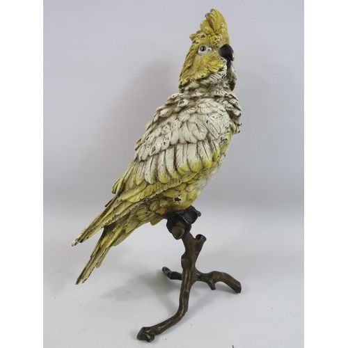 524 - Large Franz Bergman cold painted bronze Cockatoo which stands 12