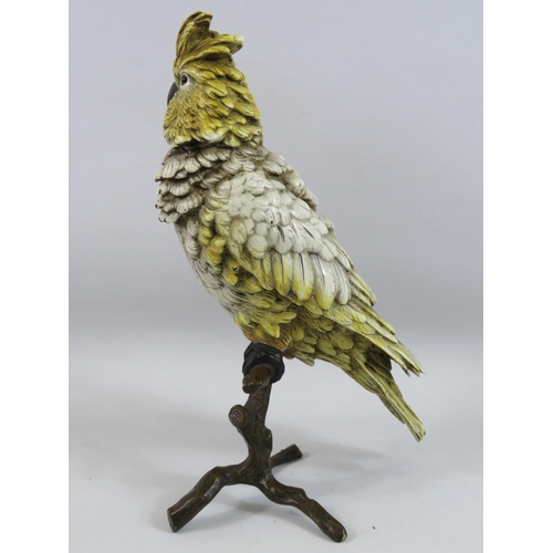 524 - Large Franz Bergman cold painted bronze Cockatoo which stands 12