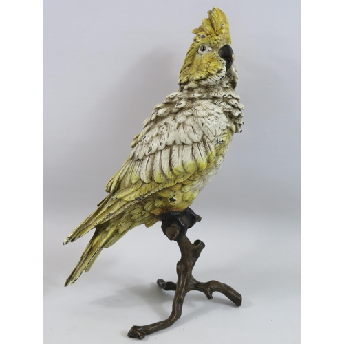 524 - Large Franz Bergman cold painted bronze Cockatoo which stands 12