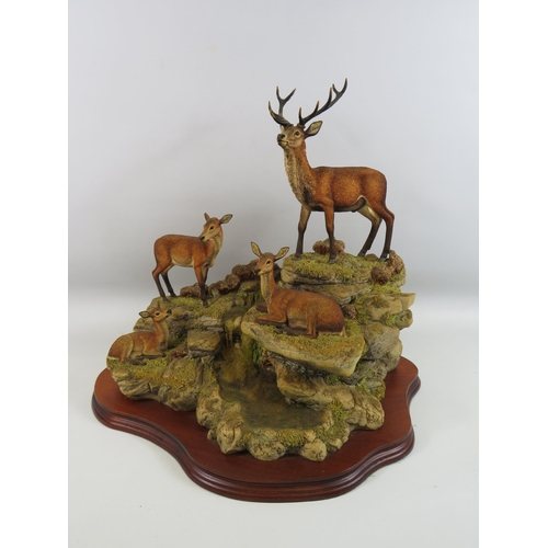 525 - Large Limited Edition Border Fine Arts Monarch of Glen Mhor model no 205 by David Walton 250/500. (t... 