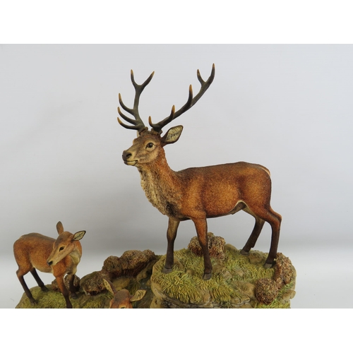 525 - Large Limited Edition Border Fine Arts Monarch of Glen Mhor model no 205 by David Walton 250/500. (t... 