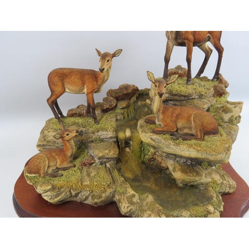 525 - Large Limited Edition Border Fine Arts Monarch of Glen Mhor model no 205 by David Walton 250/500. (t... 