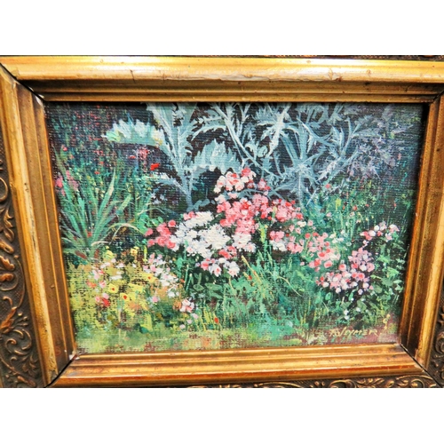 985 - Two pretty Oil on Board Floral Studies, each signed and framed which measures approx 9 x 8 inches.  ... 