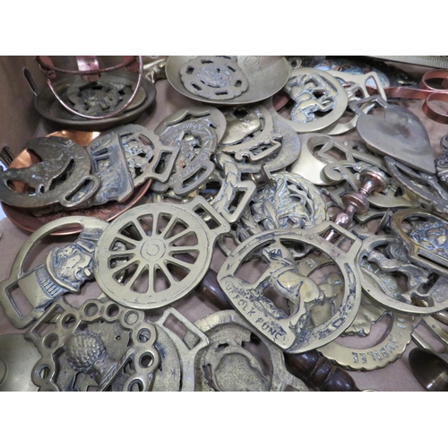 942 - Large selection of horses brasses and other brass items including a English setter door knocker.