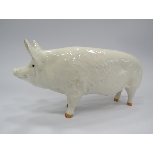 224 - Beswick pig figurine Champion Wall boy.