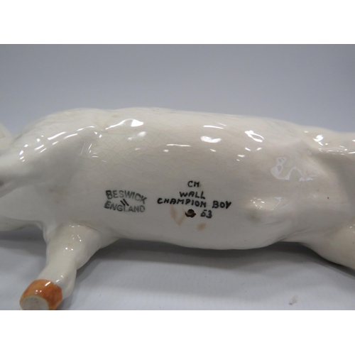 224 - Beswick pig figurine Champion Wall boy.