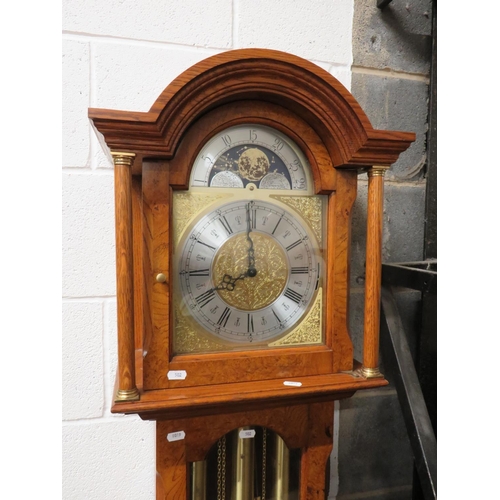 503 - Reproduction Oak Cased long case clock with Brass & Silvered Dial. Clear case door reveals weights a... 