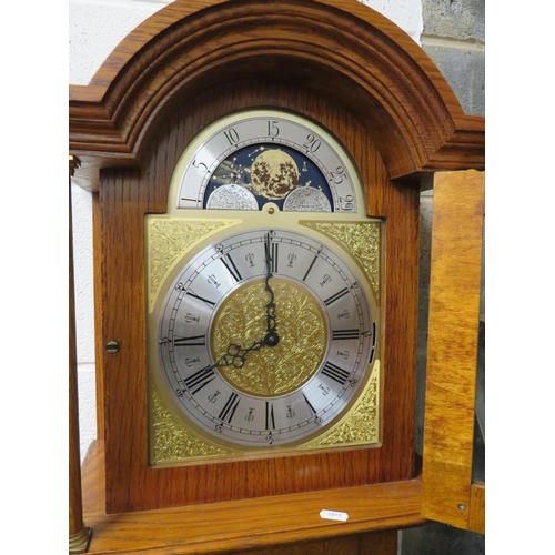 503 - Reproduction Oak Cased long case clock with Brass & Silvered Dial. Clear case door reveals weights a... 