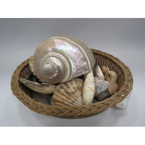 323 - Basket containing a selection of sea shells.