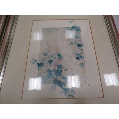 577 - Framed print of a watercolour by Richard Akerman plus 2 small chinese white peacock prints.