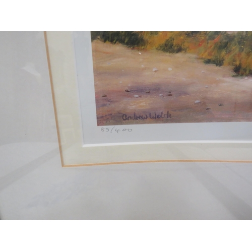 600 - Framed signed watercolour of flowers and 2 signed prints.